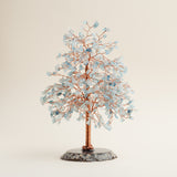 Tree of Renewal (Pre order)